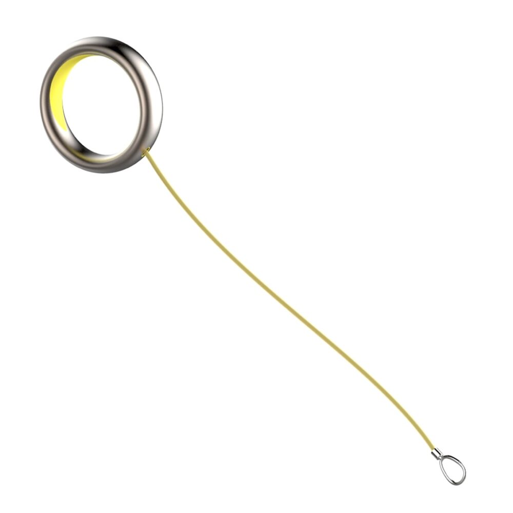 rendering of extendable leash