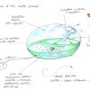 Biosfera