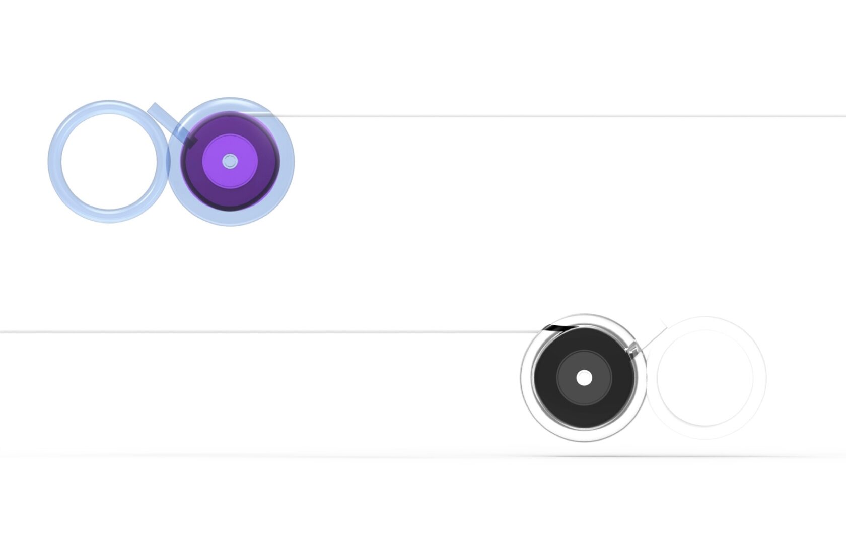 Design of transparent adjustable leash, two color models blue-violet and black-transparent.